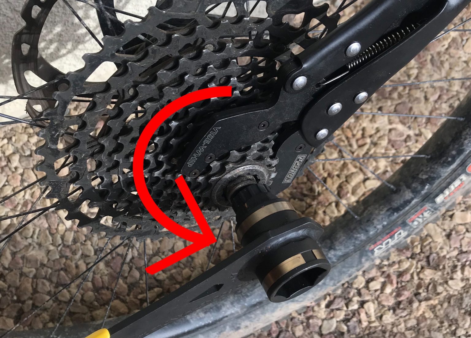 How to Replace a Mountain Bike Cassette (StepByStep Guide) Bike Faff