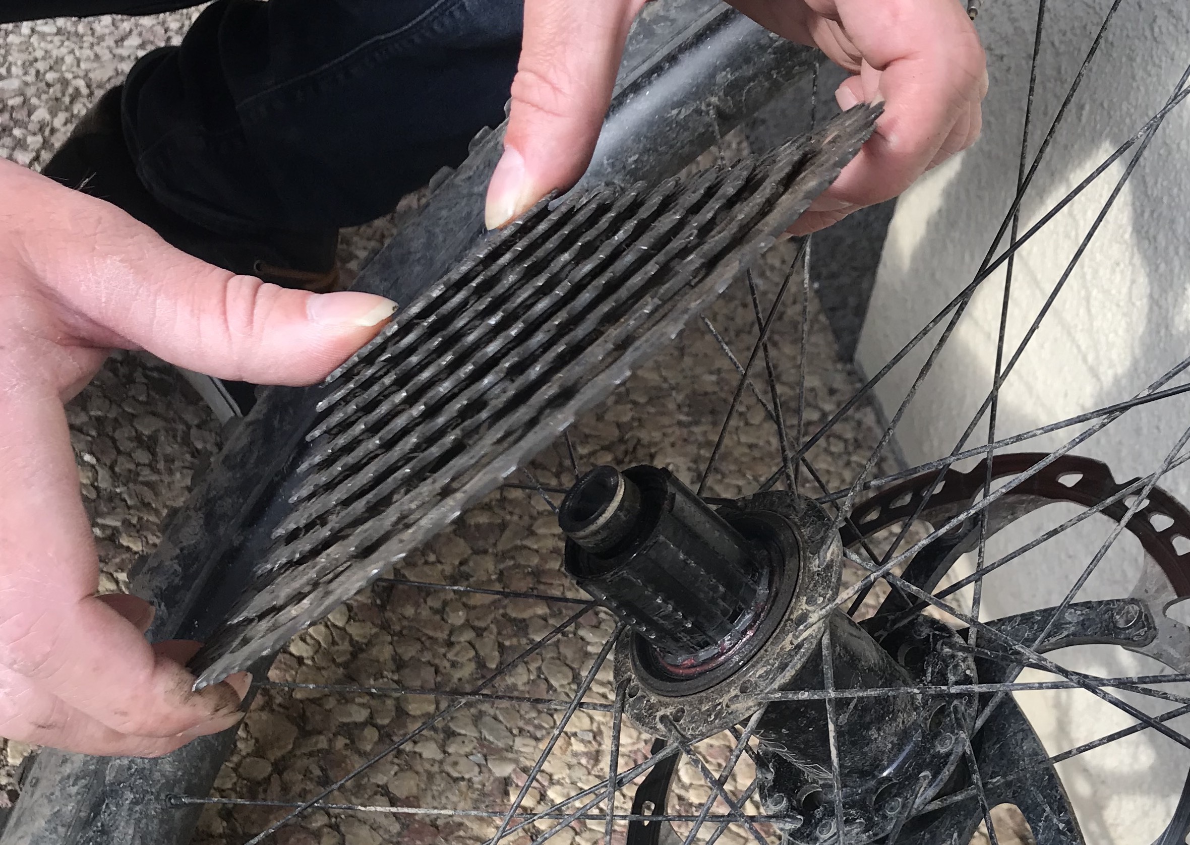 replacing cassette on mountain bike