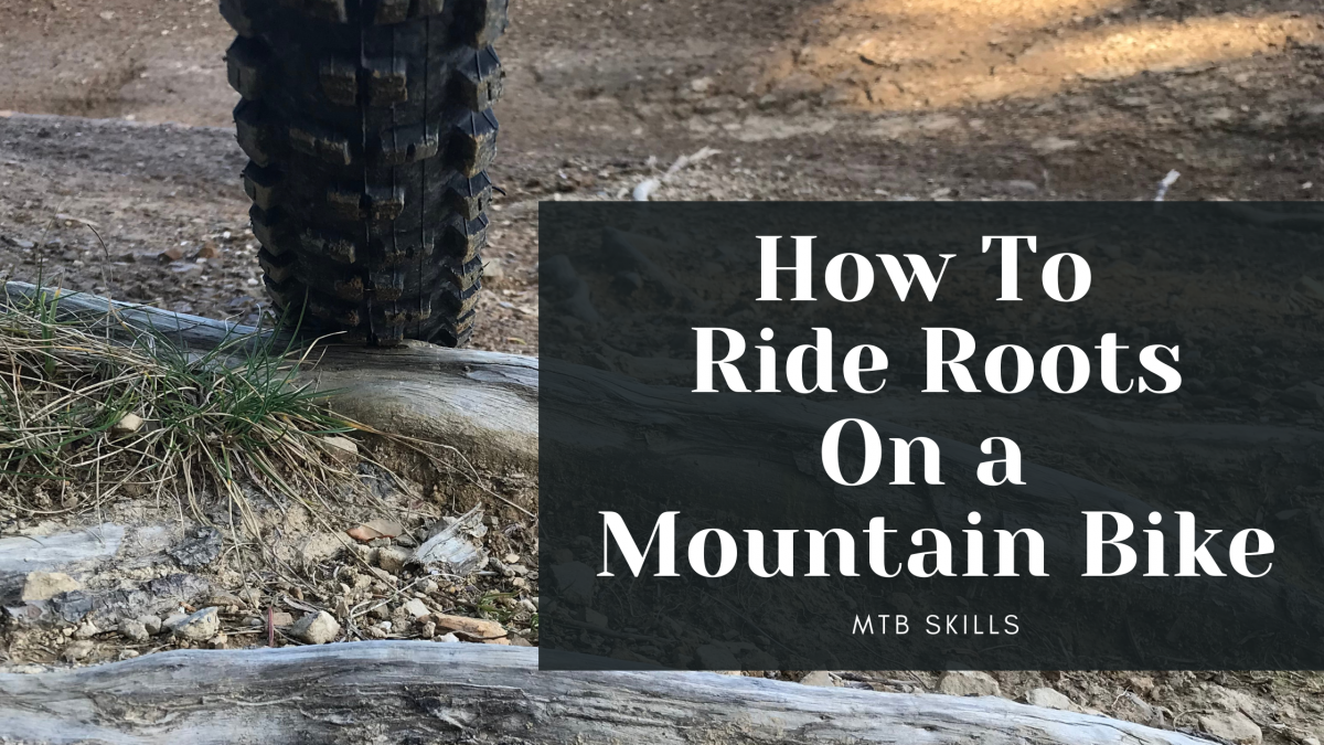 How To Ride Roots On a Mountain Bike MTB Skills Bike Faff