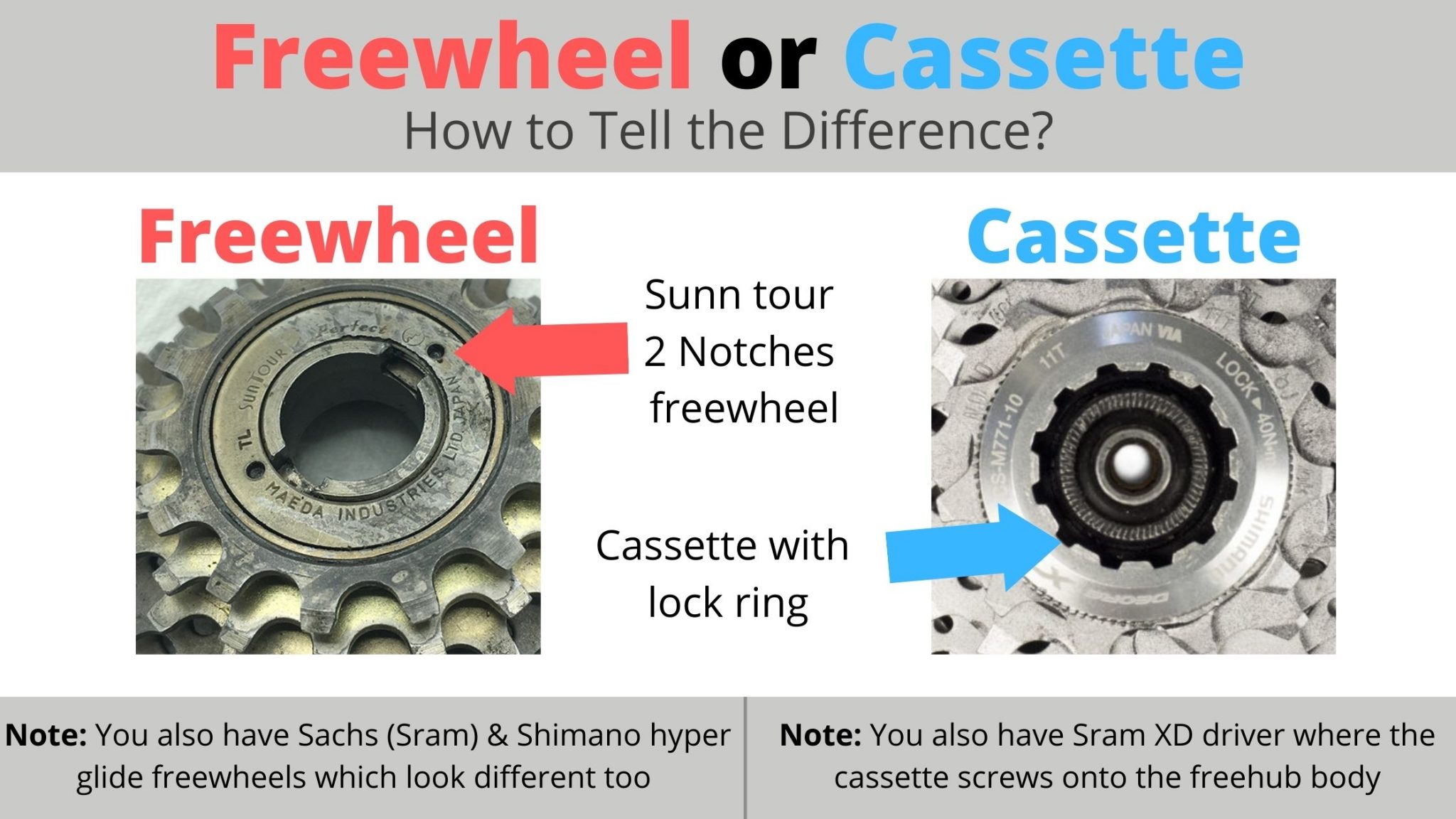 FREEWHEEL VS CASSETTE Which Is Better? Bike Faff