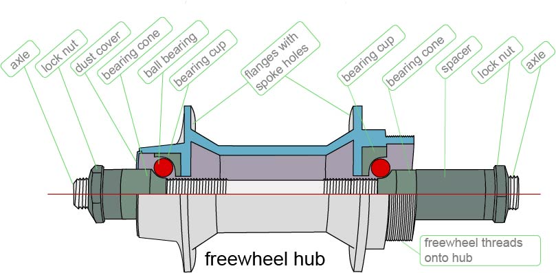 a Freewheels diagram
( FREEWHEEL VS CASSETTE )