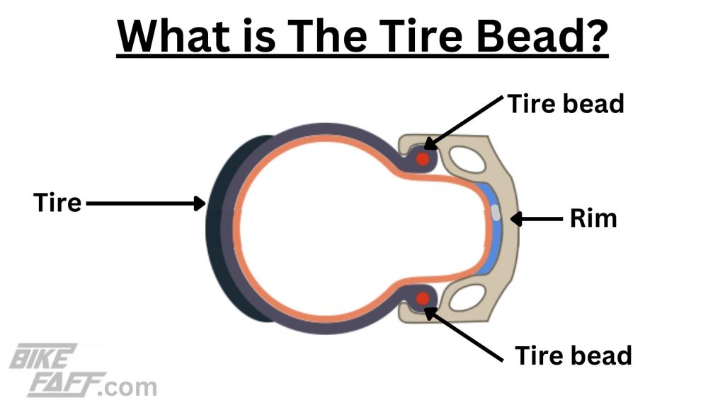 Folding vs Wire Bead Tires (Which To Choose) - Bike Faff